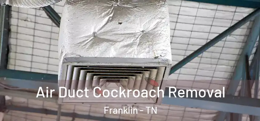  Air Duct Cockroach Removal Franklin - TN