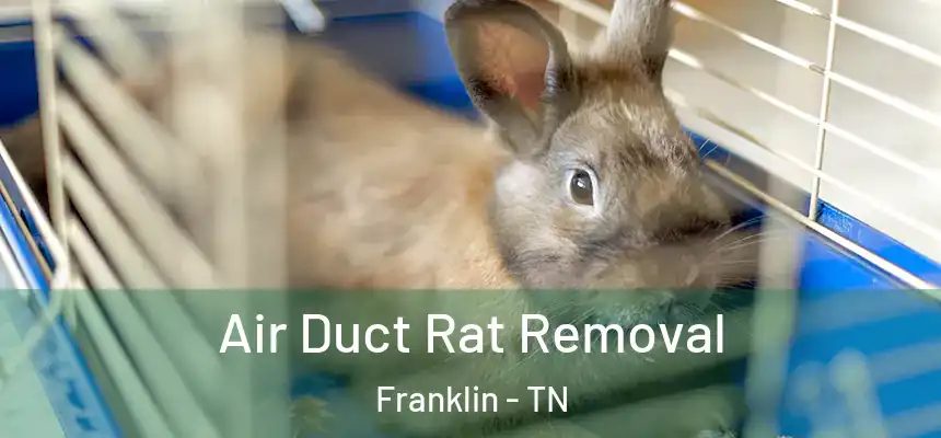  Air Duct Rat Removal Franklin - TN