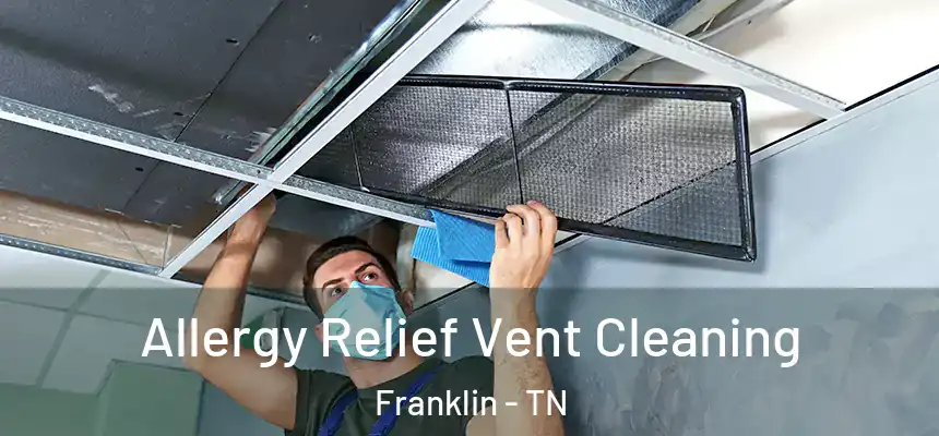  Allergy Relief Vent Cleaning Franklin - TN