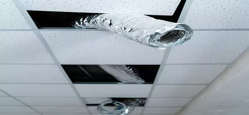 Our Air Duct Pet Hair Removal Services in Franklin, TN