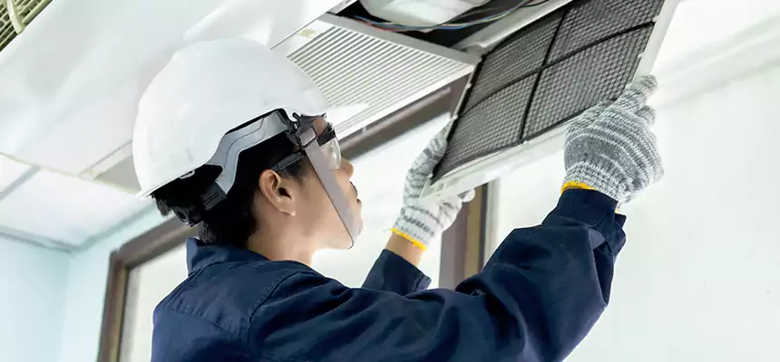 Our Mold & Mildew Removal from Air Ducts Services in Franklin, TN