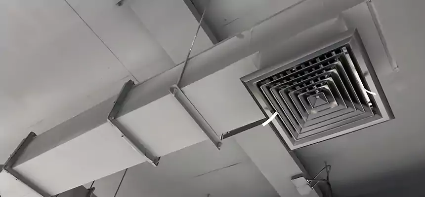 Our Rodent Droppings In Vents Services in Franklin, TN