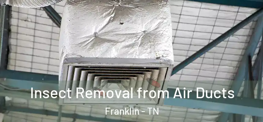  Insect Removal from Air Ducts Franklin - TN