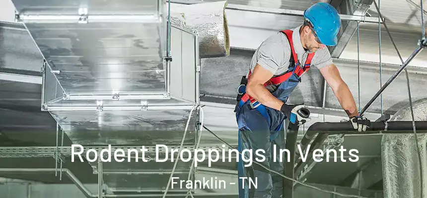  Rodent Droppings In Vents Franklin - TN