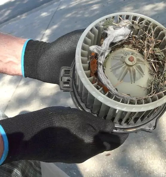 About Air Duct Rat Removal in Franklin, TN