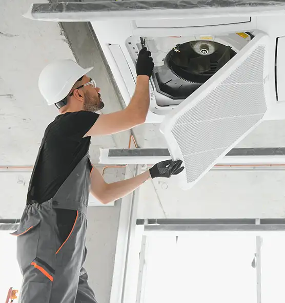 About Air Duct Rodent Removal in Franklin, TN