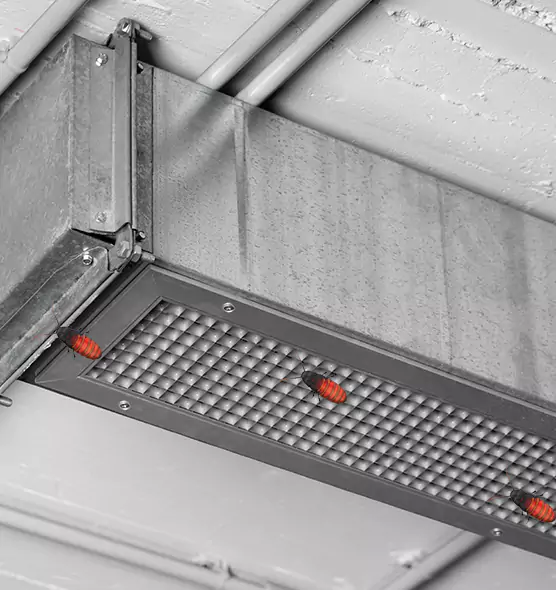 Affordable Insect Removal from Air Ducts in Franklin, TN