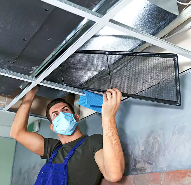 Why Homeowners Businesses Trust Us in Franklin, TN